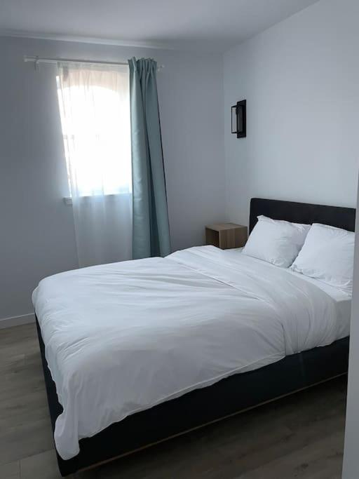 871 Shefford Suite 207 3Chambres Bromont Eksteriør bilde